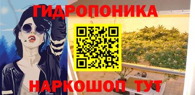 гашик Будённовск