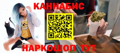 гашик Будённовск