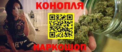 гашик Будённовск