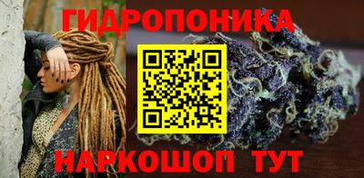 гашик Будённовск
