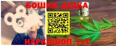 гашик Будённовск