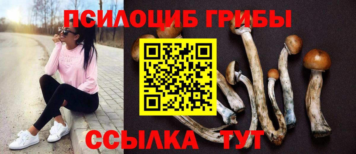 Галлюциногенные грибы прущие грибы Кунгур